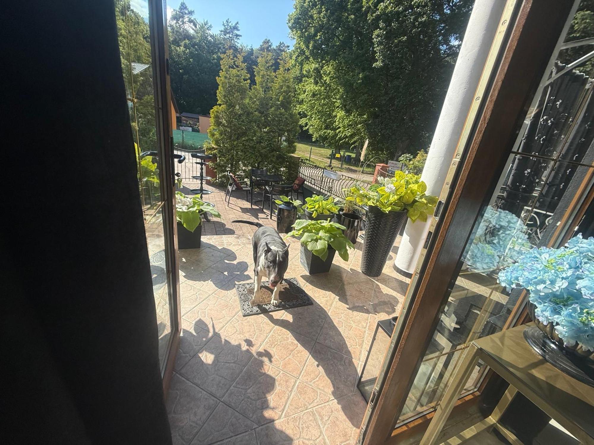 Korab Wiselka & Spa Otel Dış mekan fotoğraf